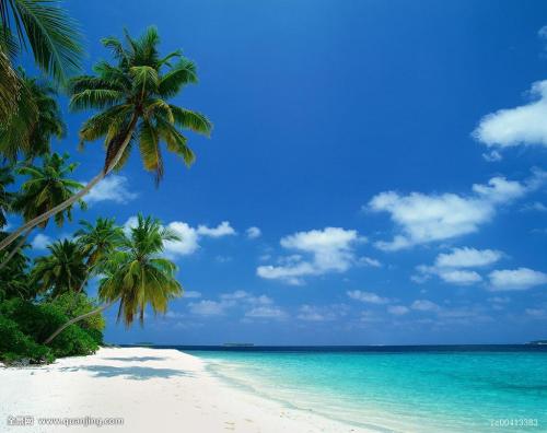 Сѧʱż ׶԰Ԫʱͣ԰